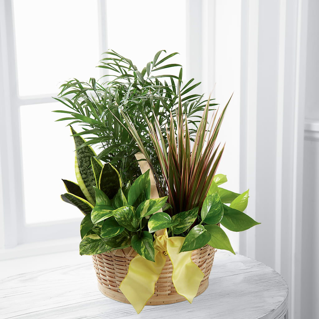 French Garden – A Special Design Florist, Newport News VA