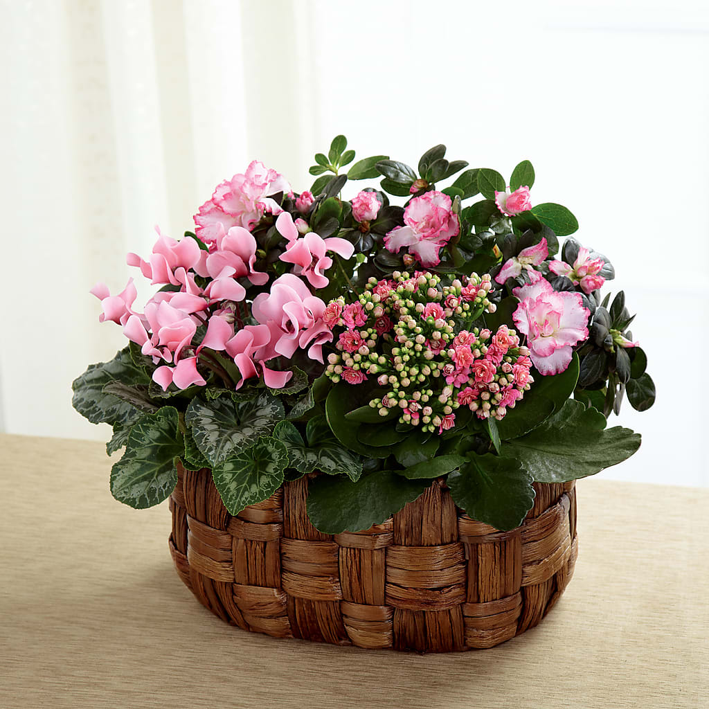 Pink Assortment – A Special Design Florist, Newport News VA