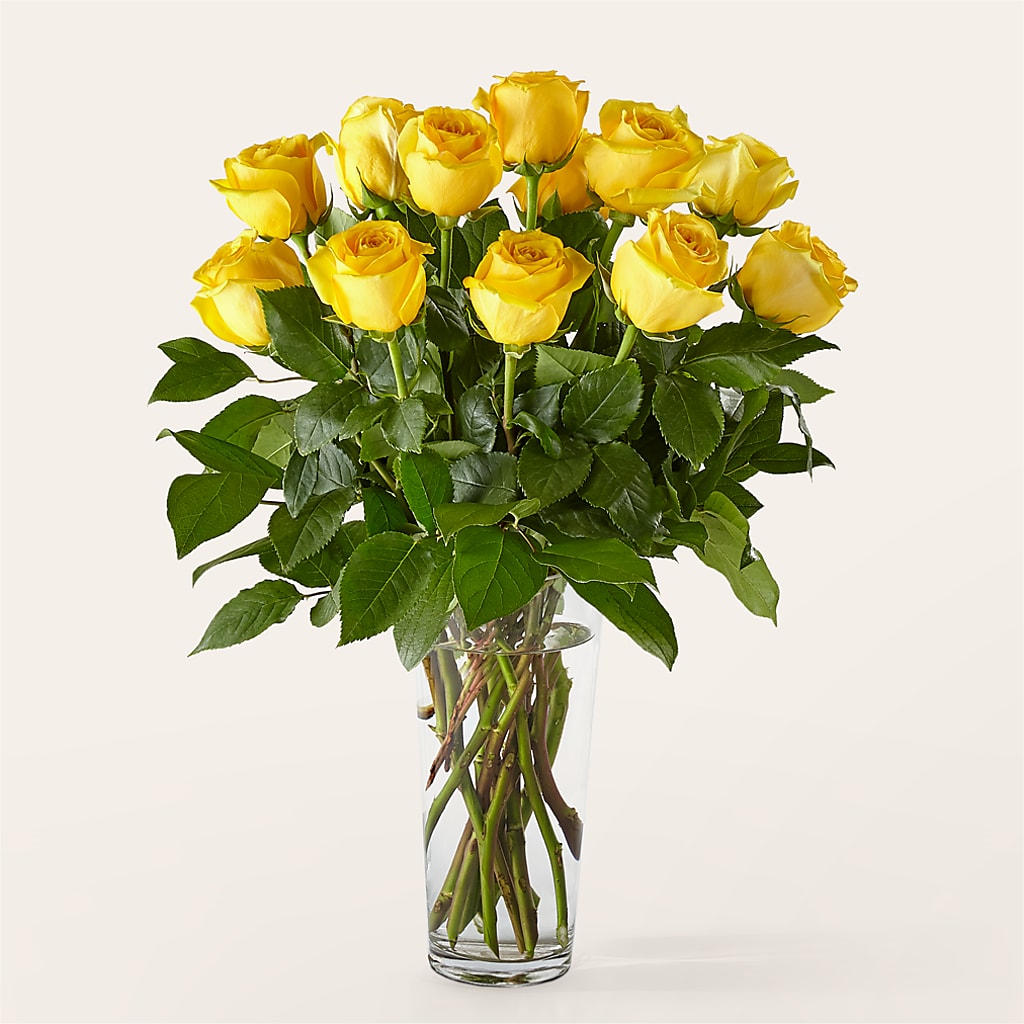 Long Stem Yellow Rose Bouquet – A Special Design Florist, Newport News VA