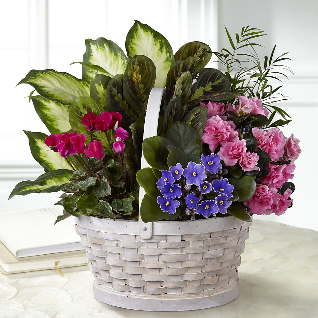 Peaceful Garden Planter – A Special Design Florist, Newport News VA