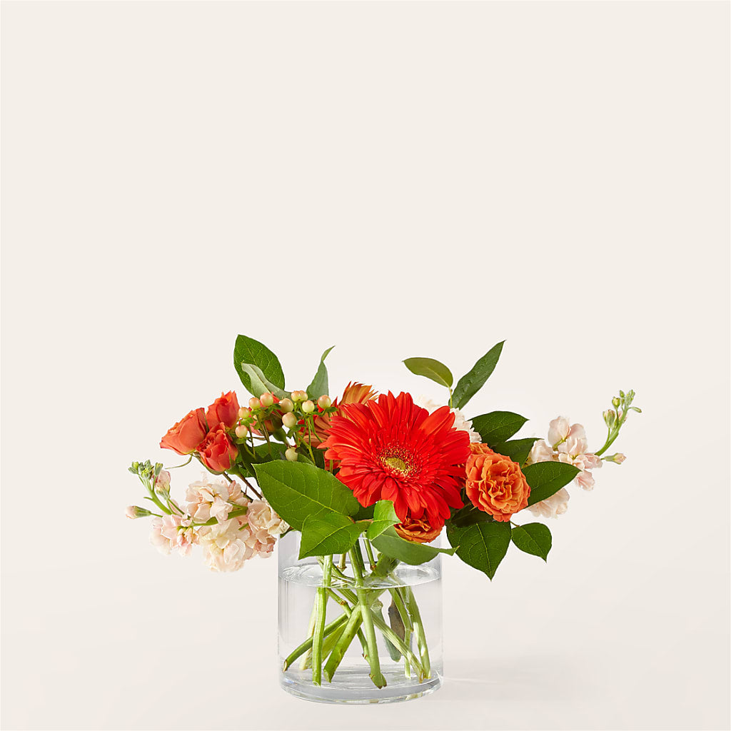 Paloma Please Bouquet – A Special Design Florist, Newport News VA