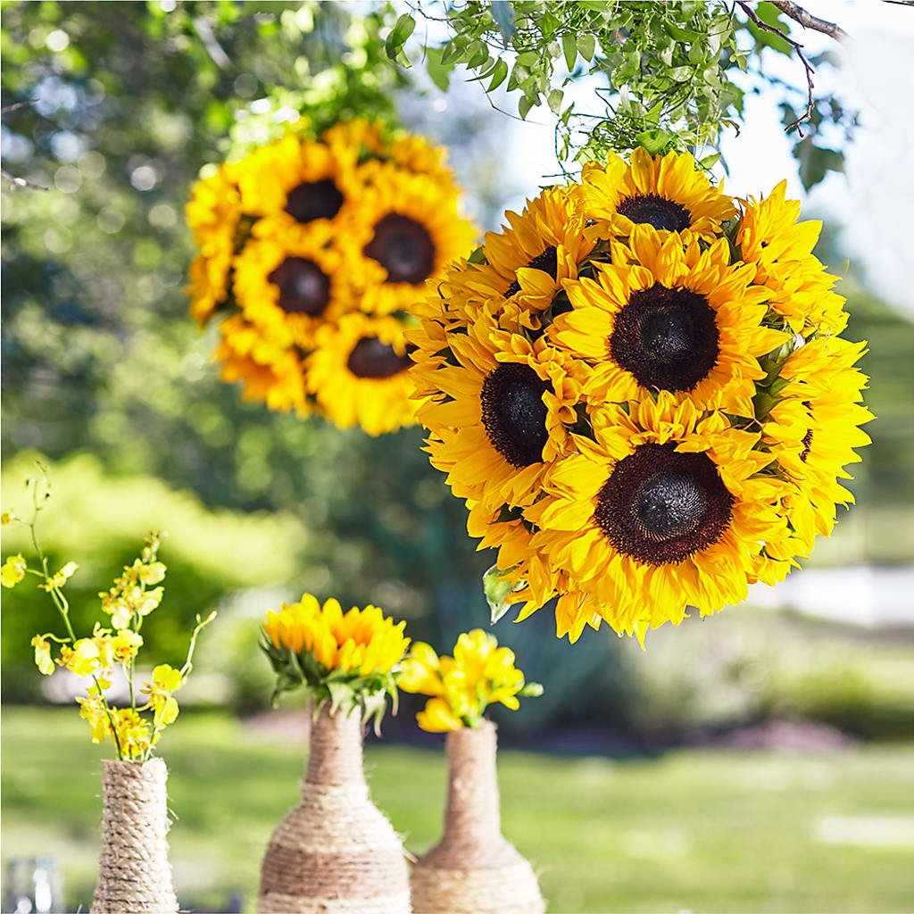 Sublime Garden Hanging Arrangement – A Special Design Florist, Newport News VA