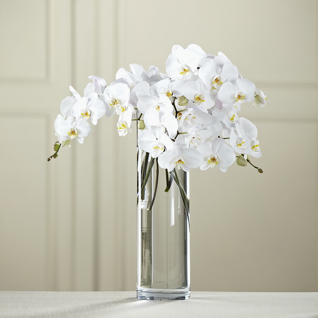 White Phalaenopsis Bouquet – A Special Design Florist, Newport News VA