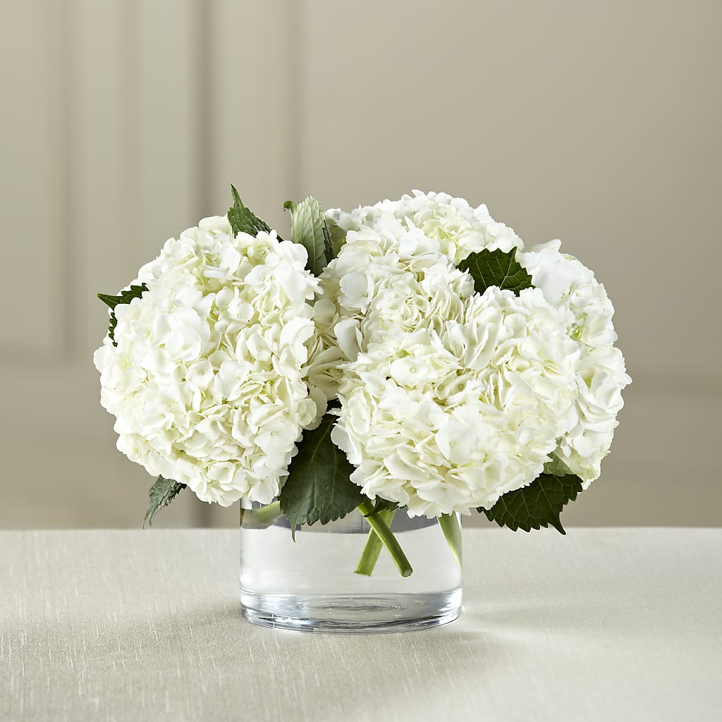 White Hydrangea Bouquet – A Special Design Florist, Newport News VA