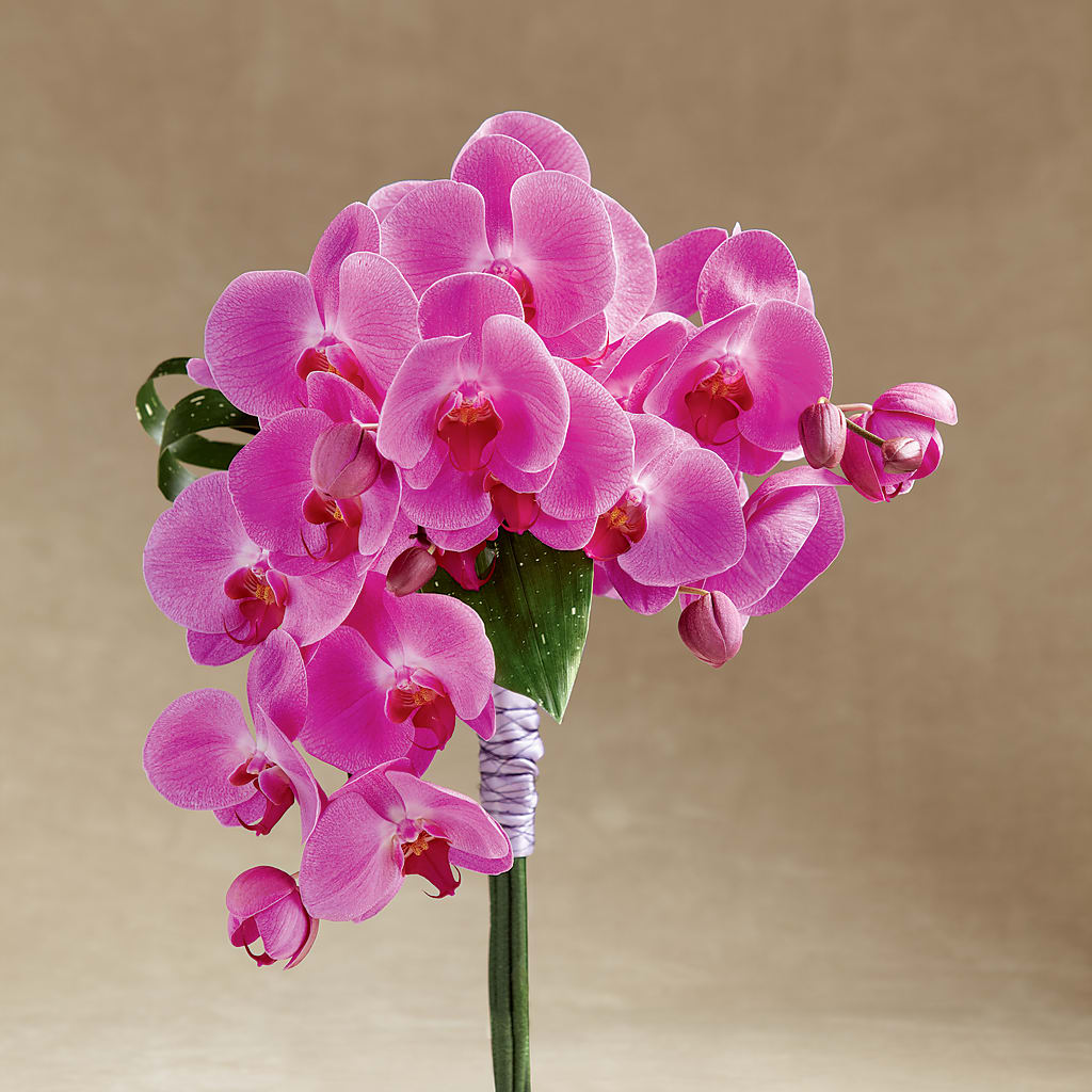 Glorious Bouquet – A Special Design Florist, Newport News VA