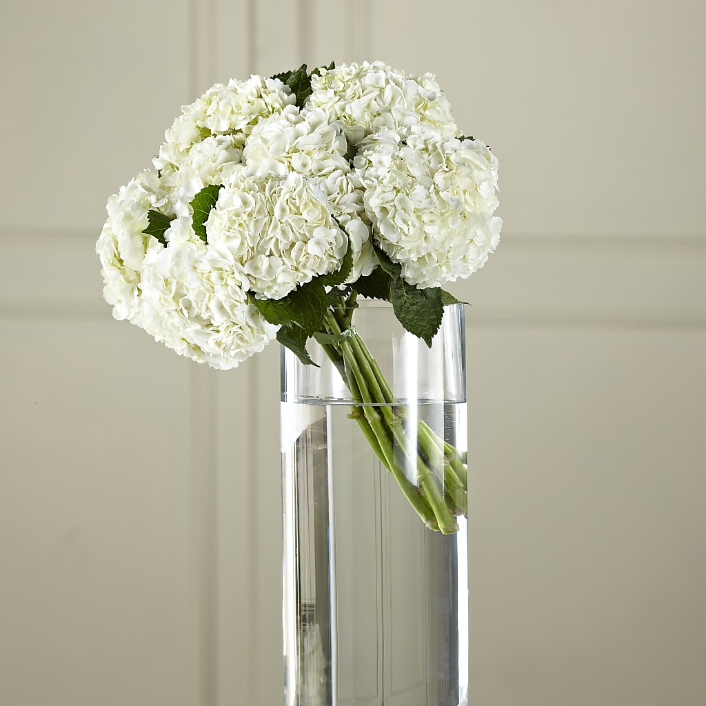 White Hydrangea Hand-Tied Bouquet – A Special Design Florist, Newport News VA
