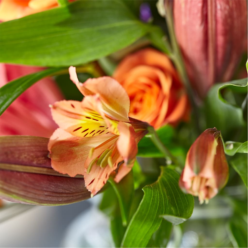 Bold & Bright – A Florist Original –  A Special Design Florist, Newport News VA
