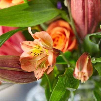 Bold & Bright – A Florist Original –  A Special Design Florist, Newport News VA