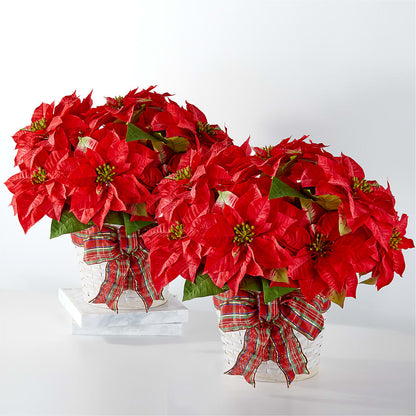 Happiest Holidays Poinsettia Bundle –  A Special Design Florist, Newport News VA