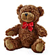 Adorable Plush Bear –  A Special Design Florist, Newport News VA