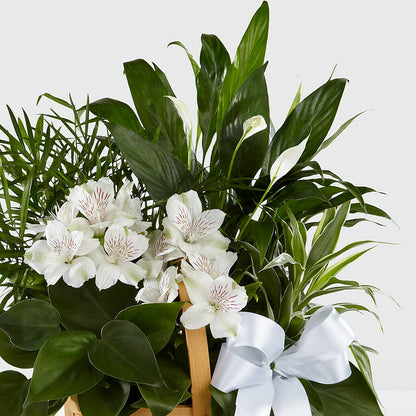 Peace & Serenity Dishgarden –  A Special Design Florist, Newport News VA