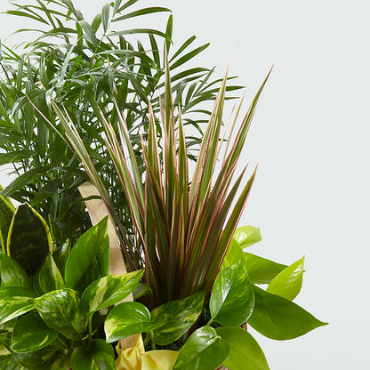 French Garden –  A Special Design Florist, Newport News VA