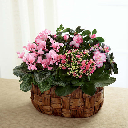 Pink Assortment –  A Special Design Florist, Newport News VA