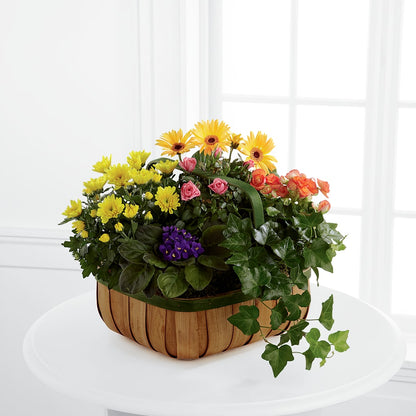 Gentle Blossoms Basket –  A Special Design Florist, Newport News VA