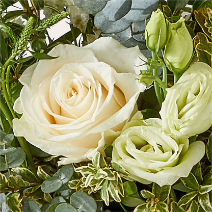 Cashmere Bouquet –  A Special Design Florist, Newport News VA