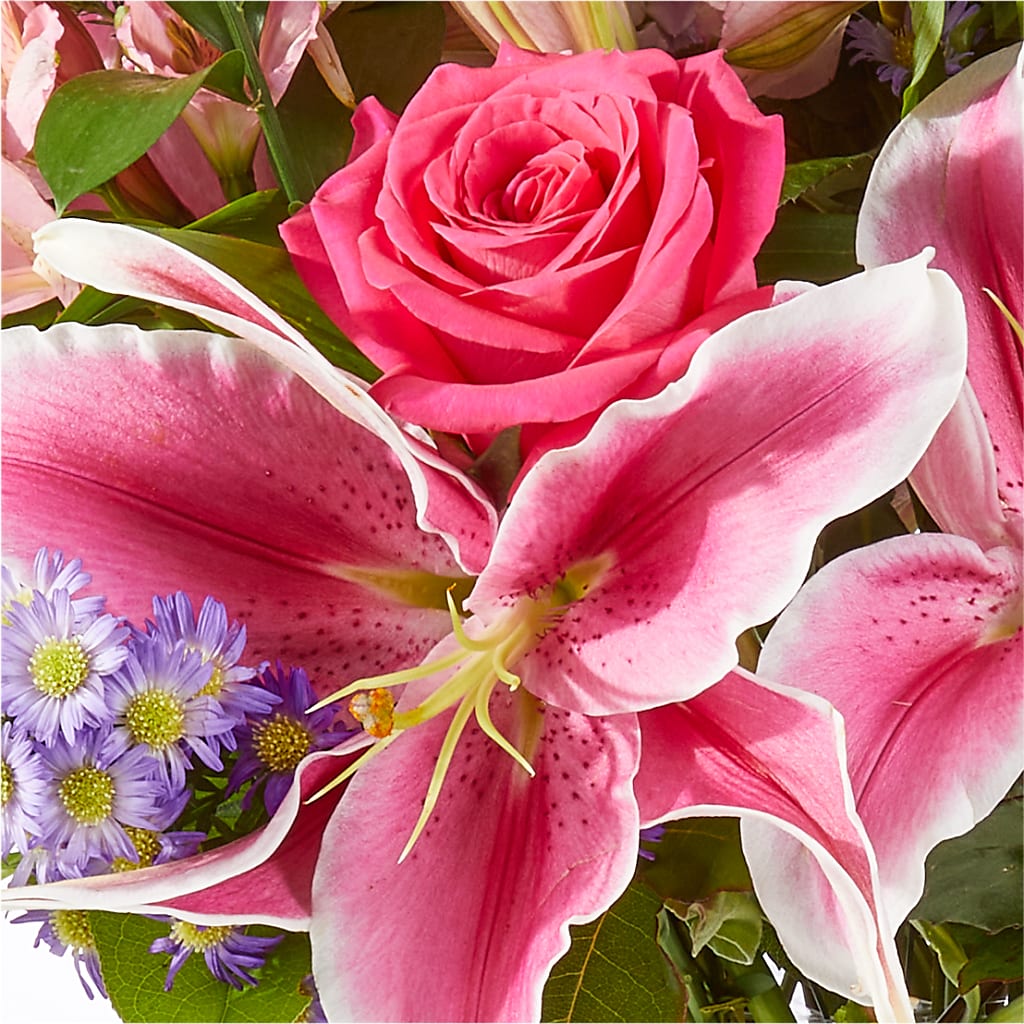 Written in the Stars Bouquet –  A Special Design Florist, Newport News VA