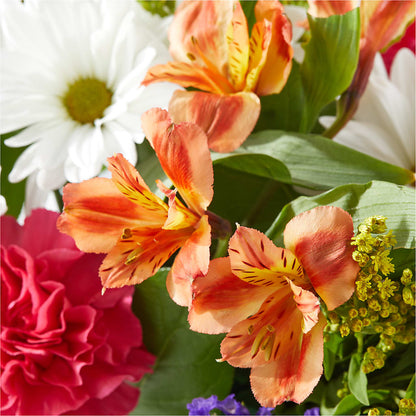 Oopsie Daisy Box Bouquet –  A Special Design Florist, Newport News VA