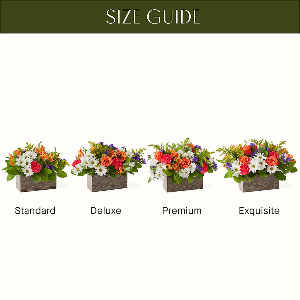 Oopsie Daisy Box Bouquet –  A Special Design Florist, Newport News VA