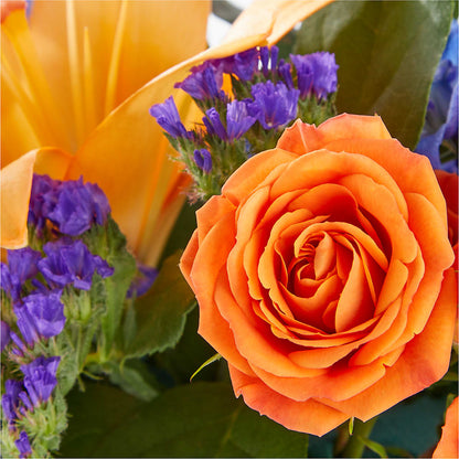 Radiant Citrus Box Bouquet –  A Special Design Florist, Newport News VA