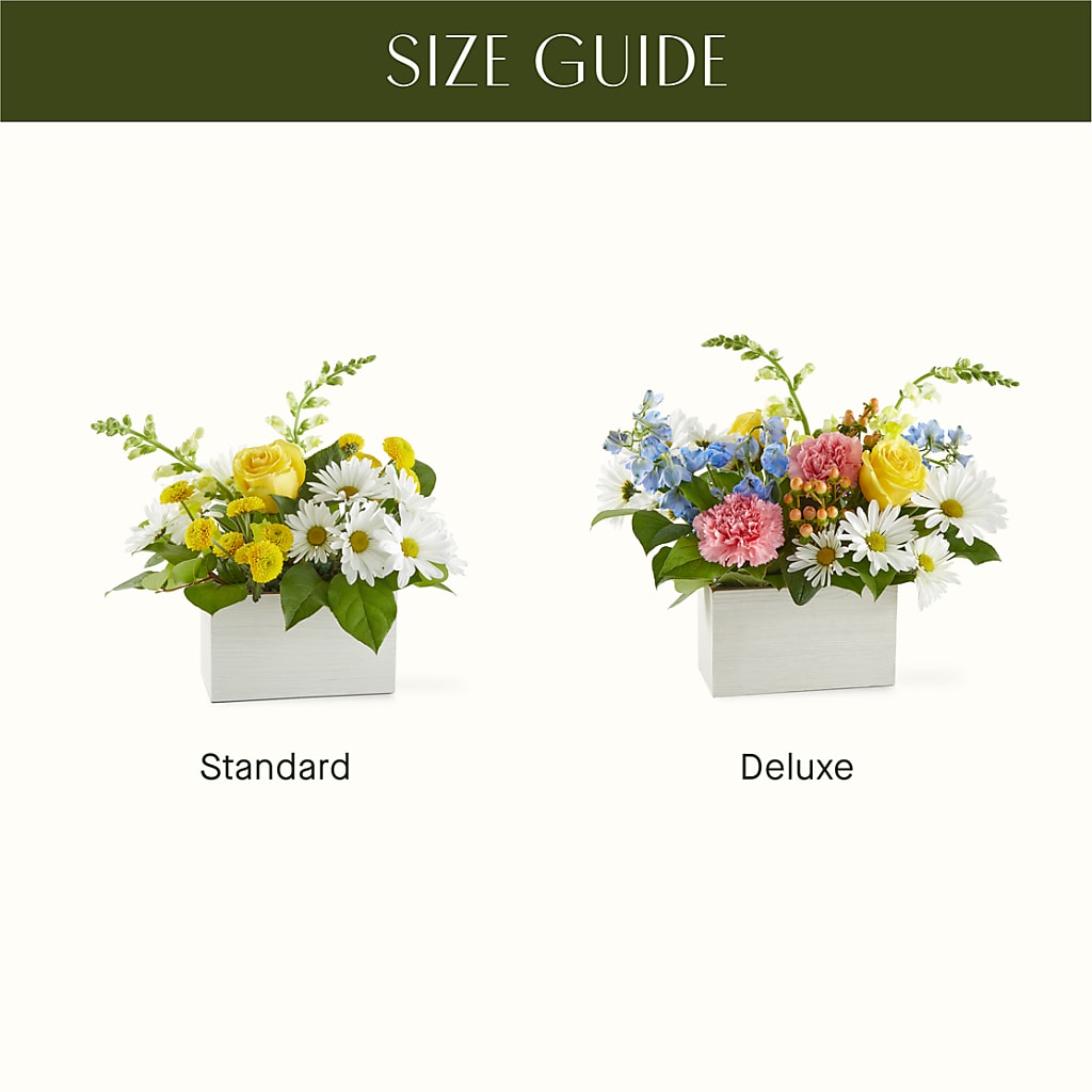 Sun Salutation Box Bouquet –  A Special Design Florist, Newport News VA