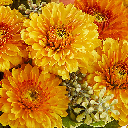 Peachy Pumpkin –  A Special Design Florist, Newport News VA