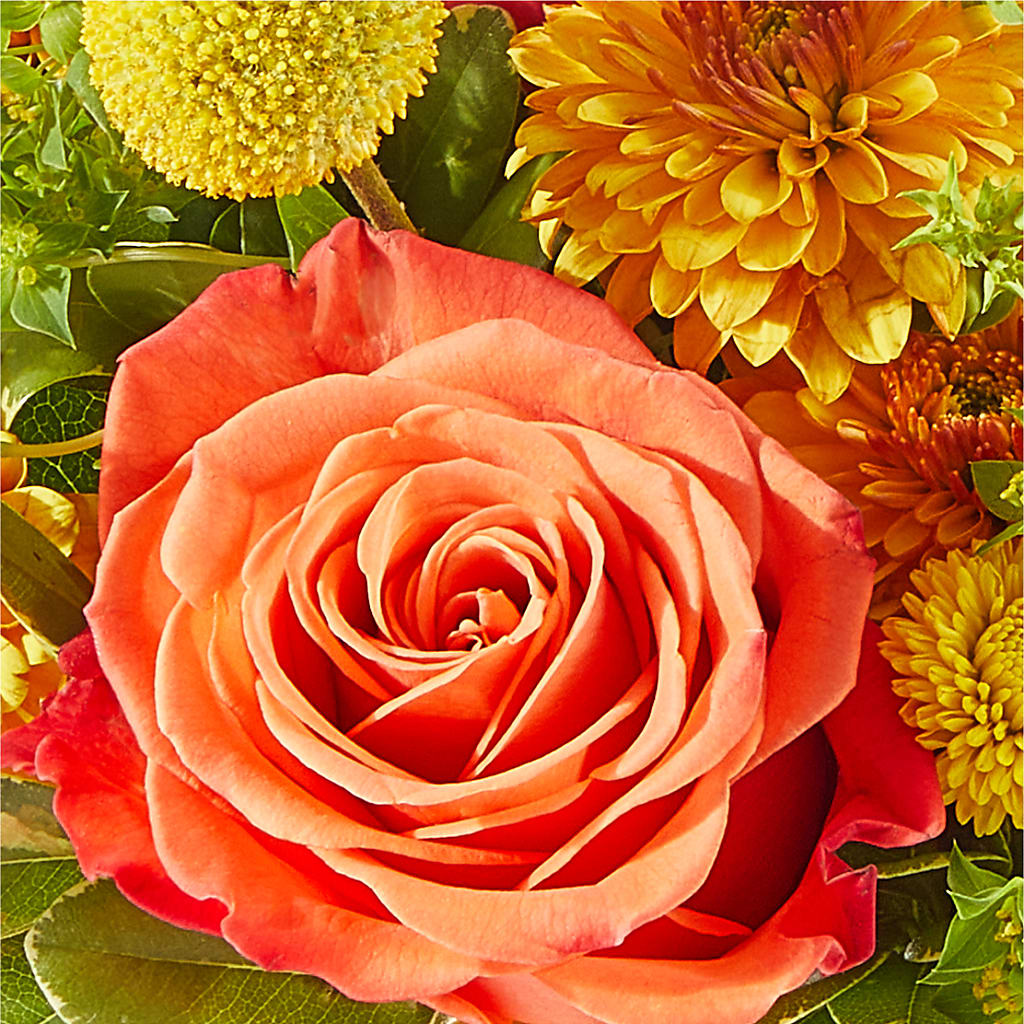 Gourdgeous Pumpkin –  A Special Design Florist, Newport News VA