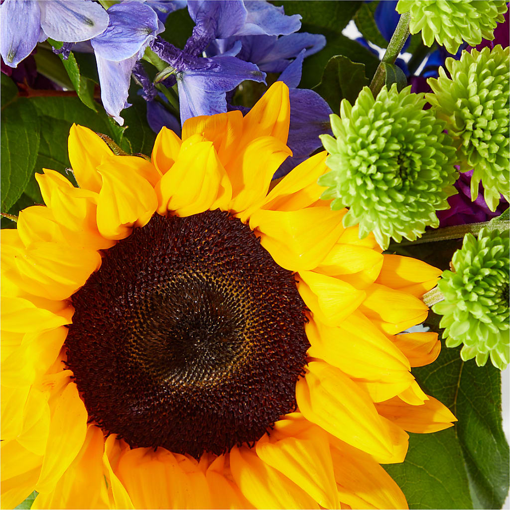 Catching Rays Bouquet –  A Special Design Florist, Newport News VA