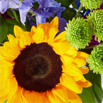 Catching Rays Bouquet –  A Special Design Florist, Newport News VA