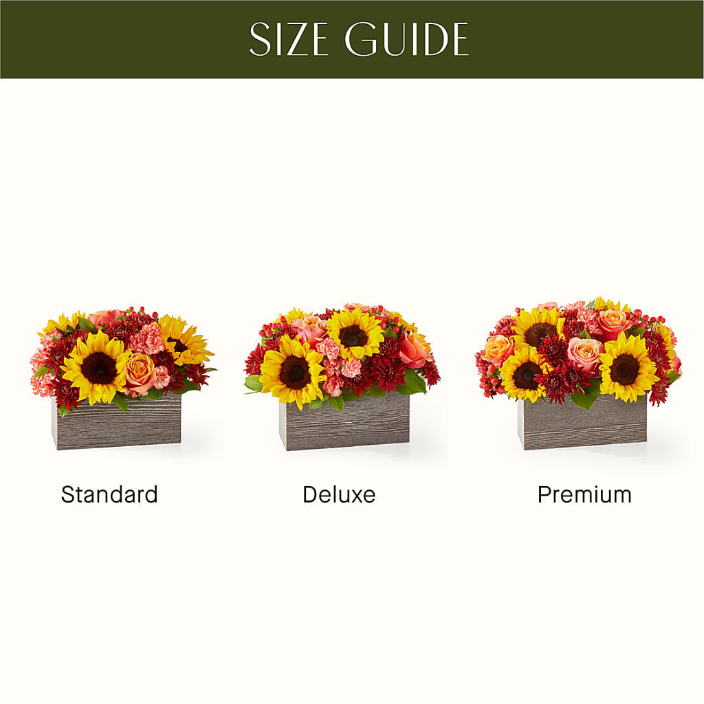 Fresh Cider Bouquet –  A Special Design Florist, Newport News VA