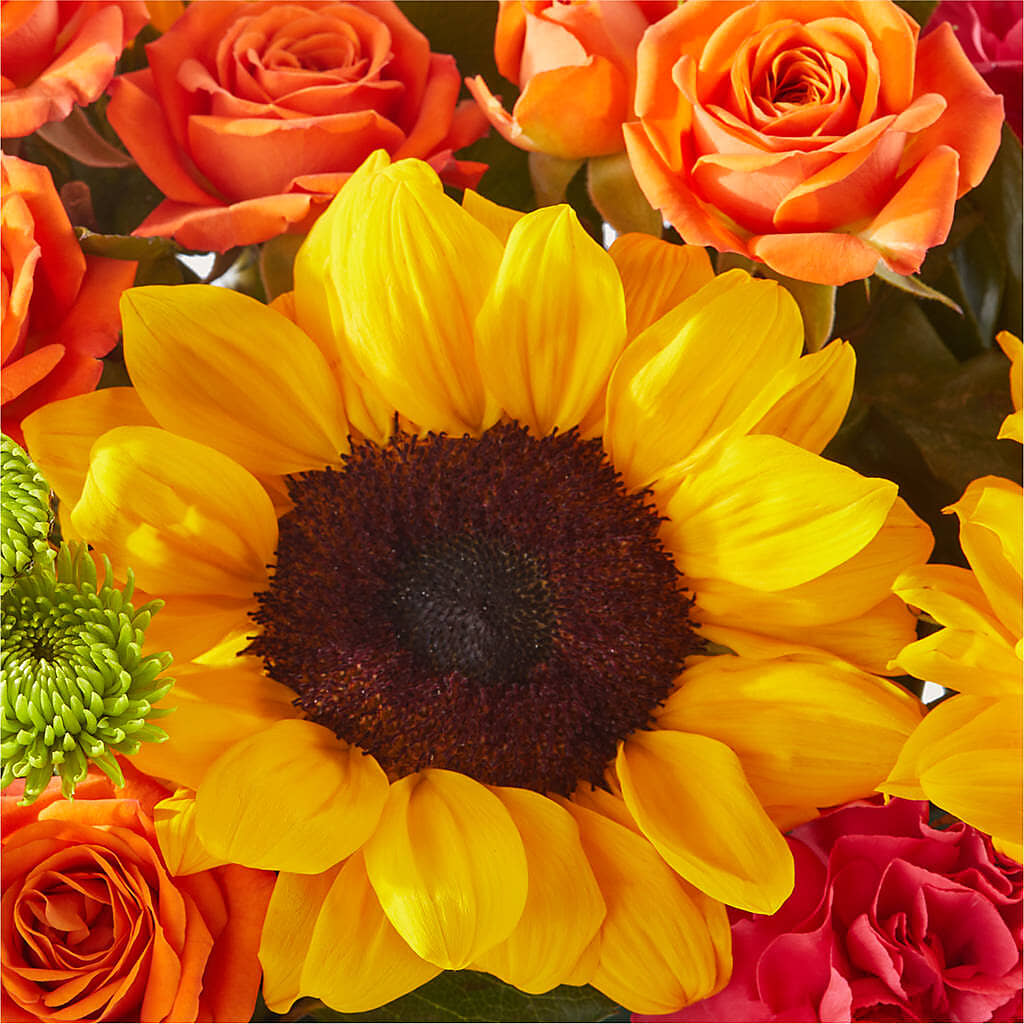 Sun-drenched Blooms Box Bouquet –  A Special Design Florist, Newport News VA