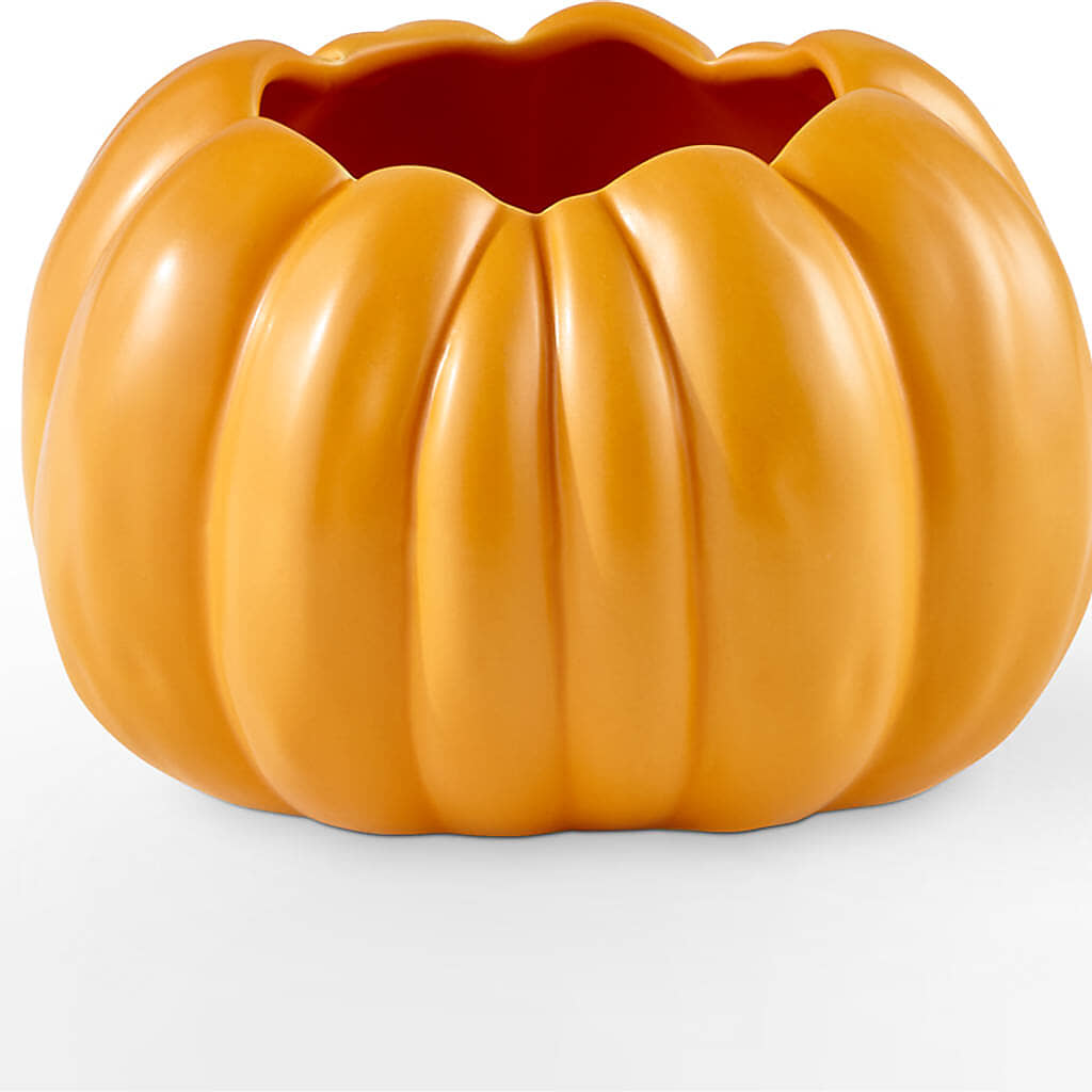 Golden Gourd Pumpkin Bouquet –  A Special Design Florist, Newport News VA