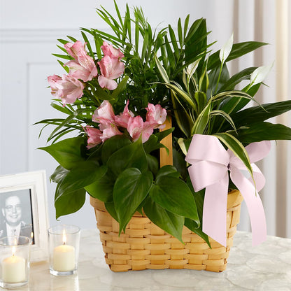 Living Spirit Dishgarden –  A Special Design Florist, Newport News VA