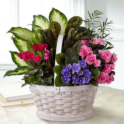Peaceful Garden Planter –  A Special Design Florist, Newport News VA