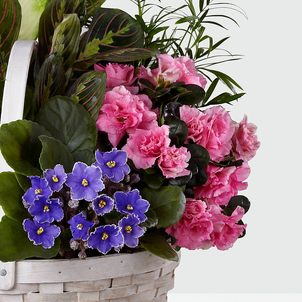 Peaceful Garden Planter –  A Special Design Florist, Newport News VA