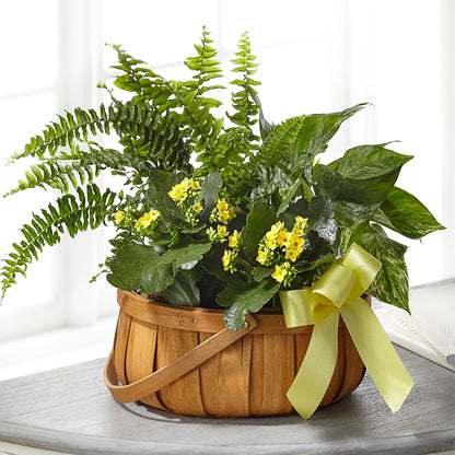 Always Dear Dishgarden –  A Special Design Florist, Newport News VA