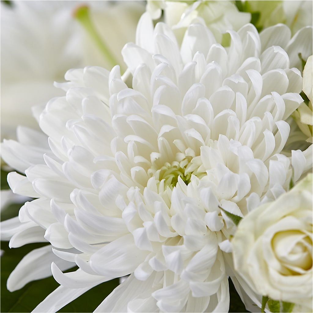 Classic Ivory – A Florist Original –  A Special Design Florist, Newport News VA