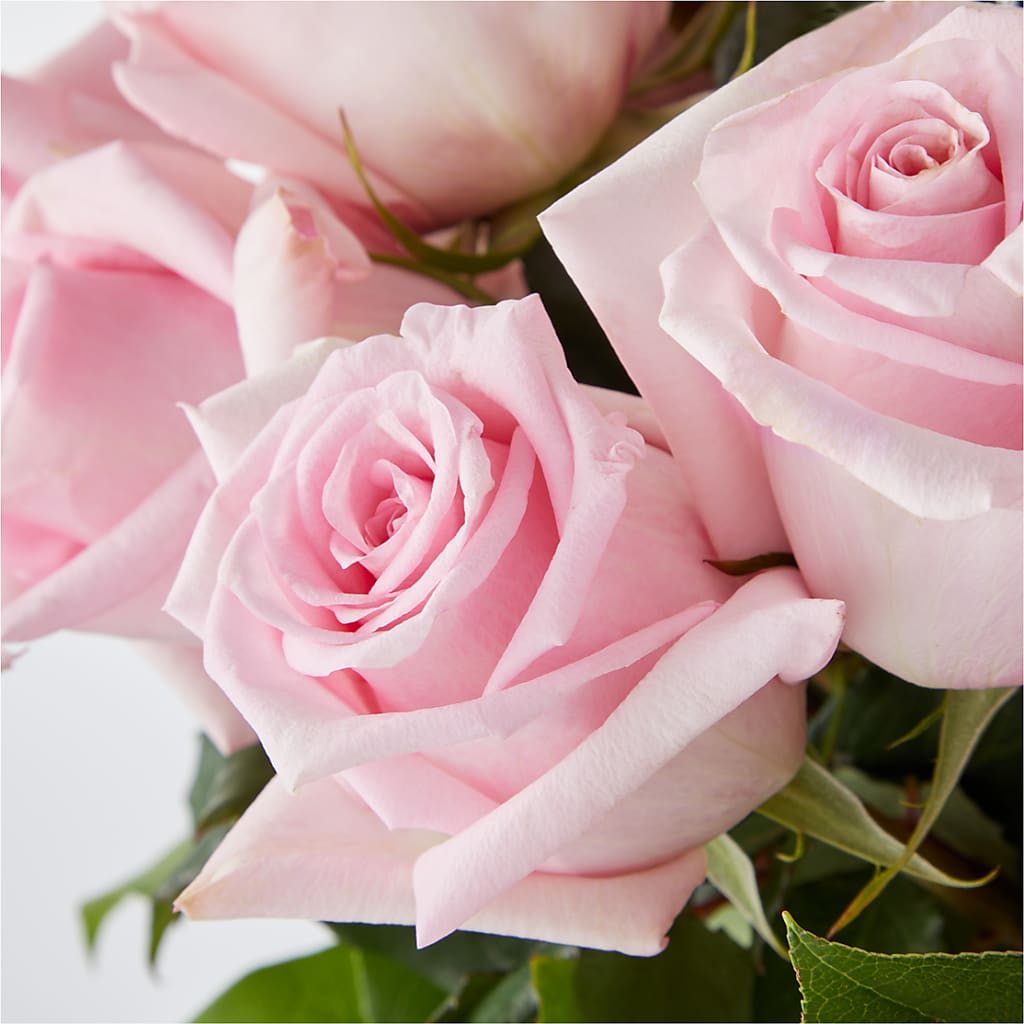 Picture Perfect Pink Rose Bouquet –  A Special Design Florist, Newport News VA
