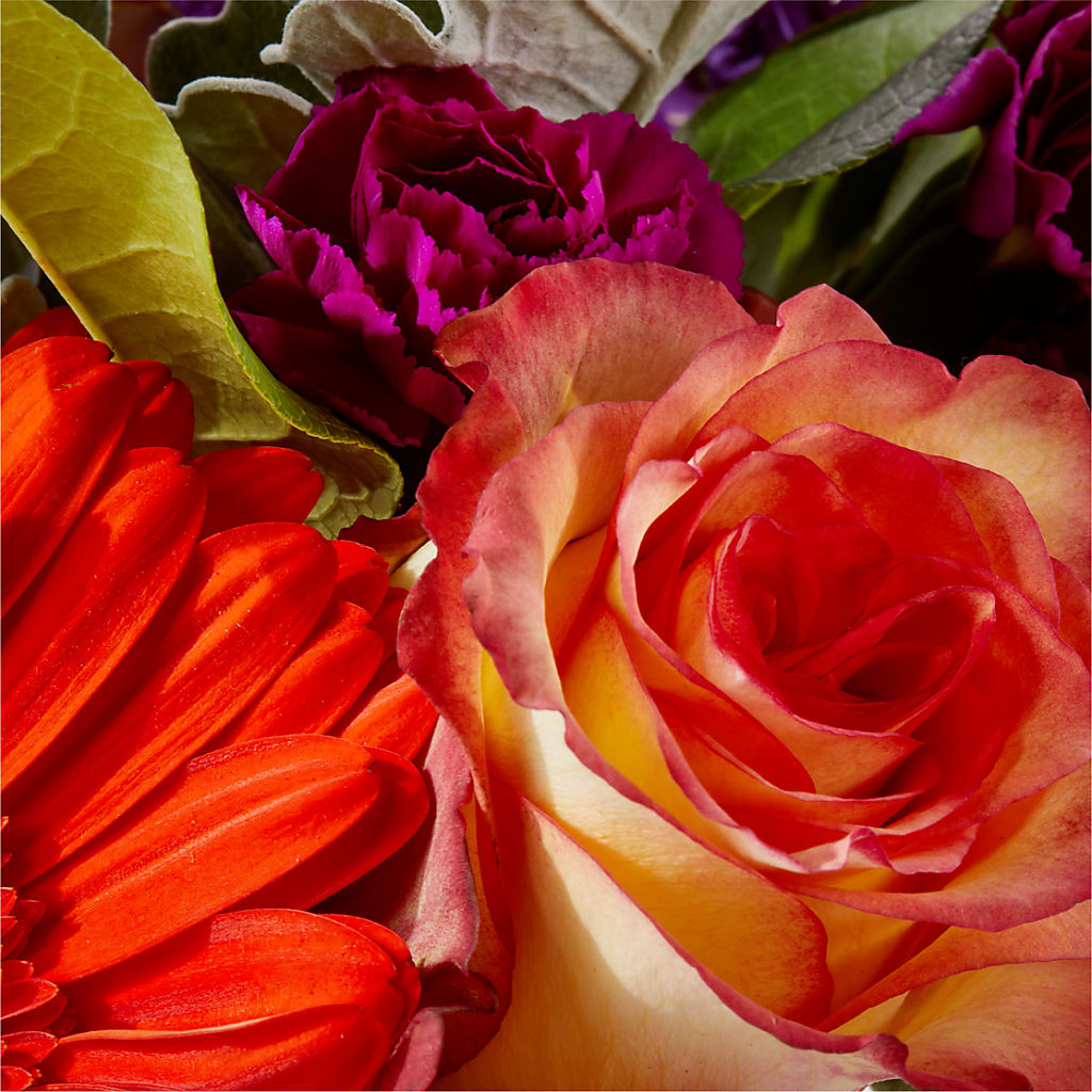 Sangria Bouquet –  A Special Design Florist, Newport News VA