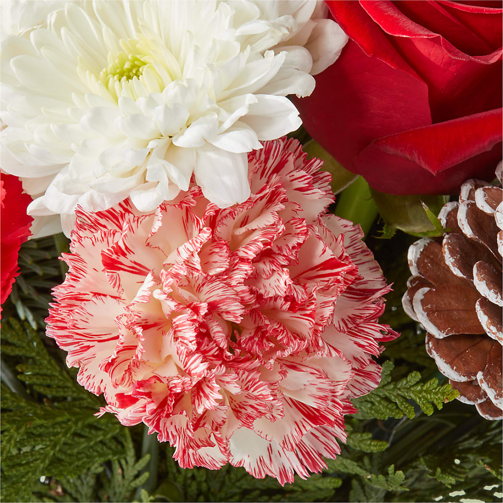 Candy Cane Lane Bouquet –  A Special Design Florist, Newport News VA