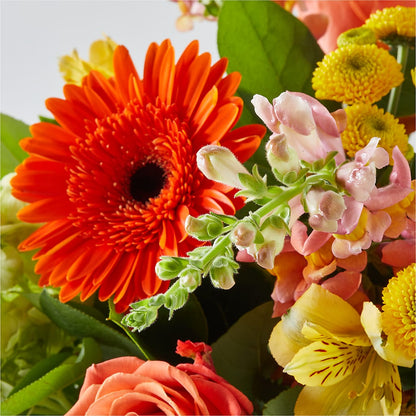 Autumn Sunshine Bouquet –  A Special Design Florist, Newport News VA