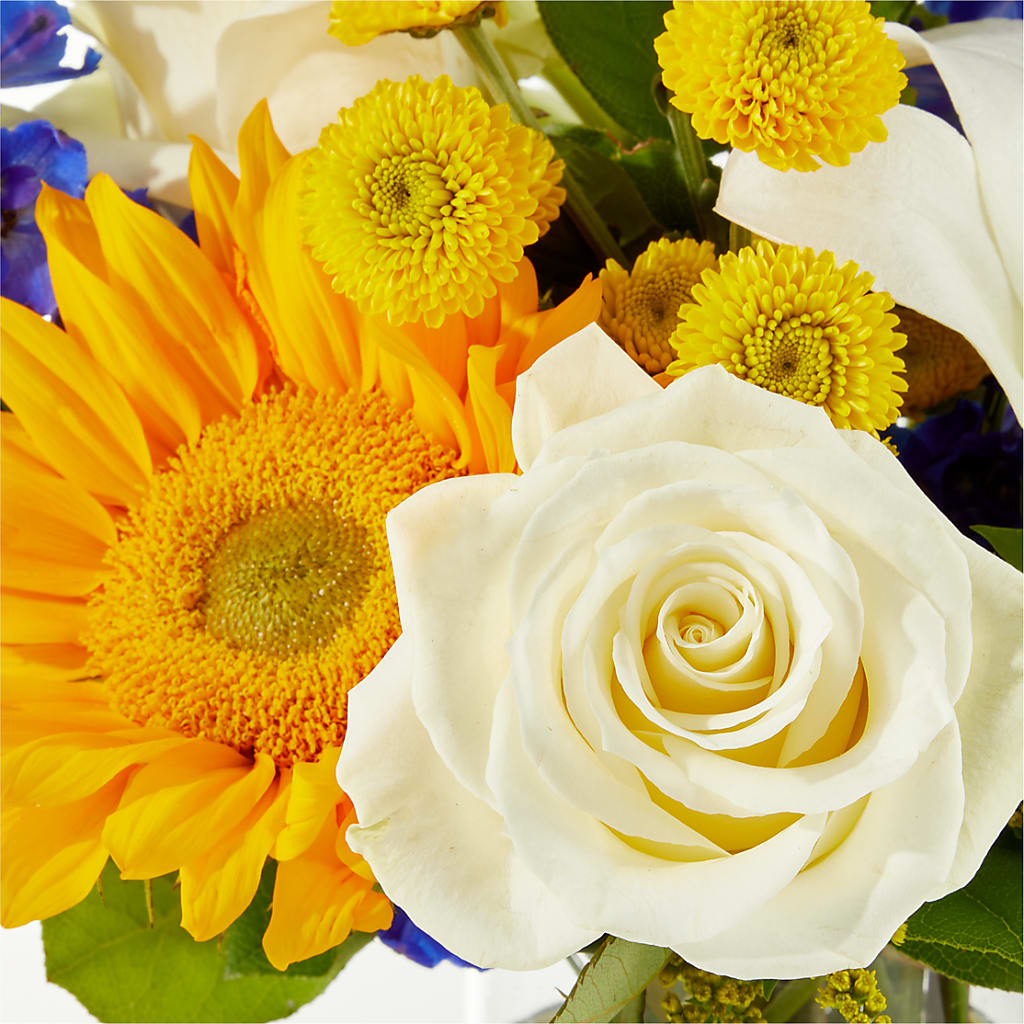 Stargazing Bouquet –  A Special Design Florist, Newport News VA