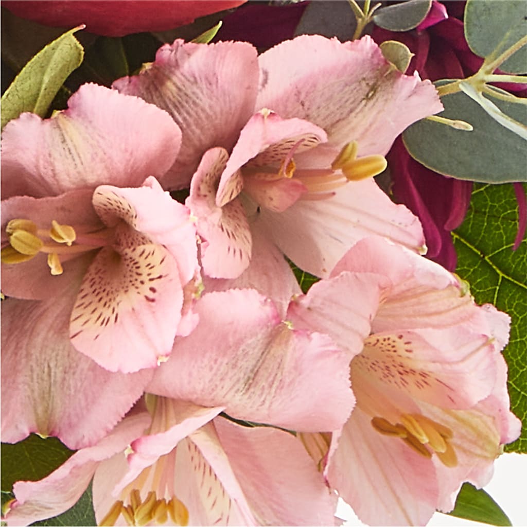 Berry Cobbler Bouquet –  A Special Design Florist, Newport News VA