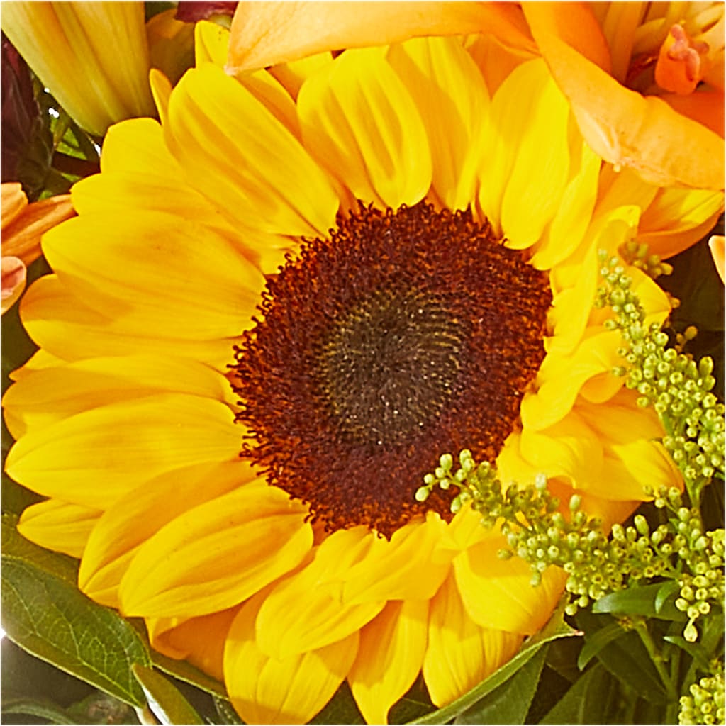 Seasons Change Bouquet –  A Special Design Florist, Newport News VA