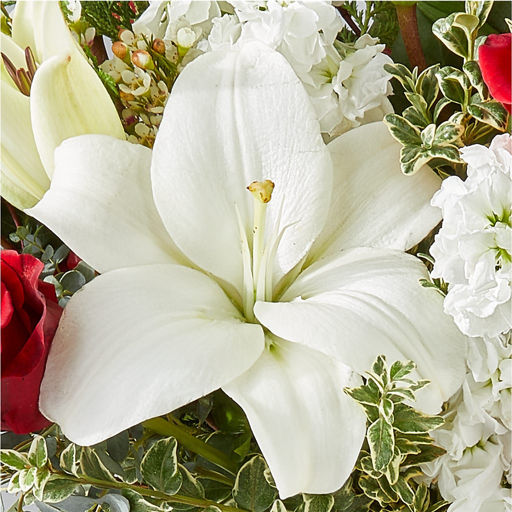 Twinkle Lights Bouquet –  A Special Design Florist, Newport News VA