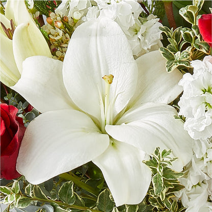 Twinkle Lights Bouquet –  A Special Design Florist, Newport News VA