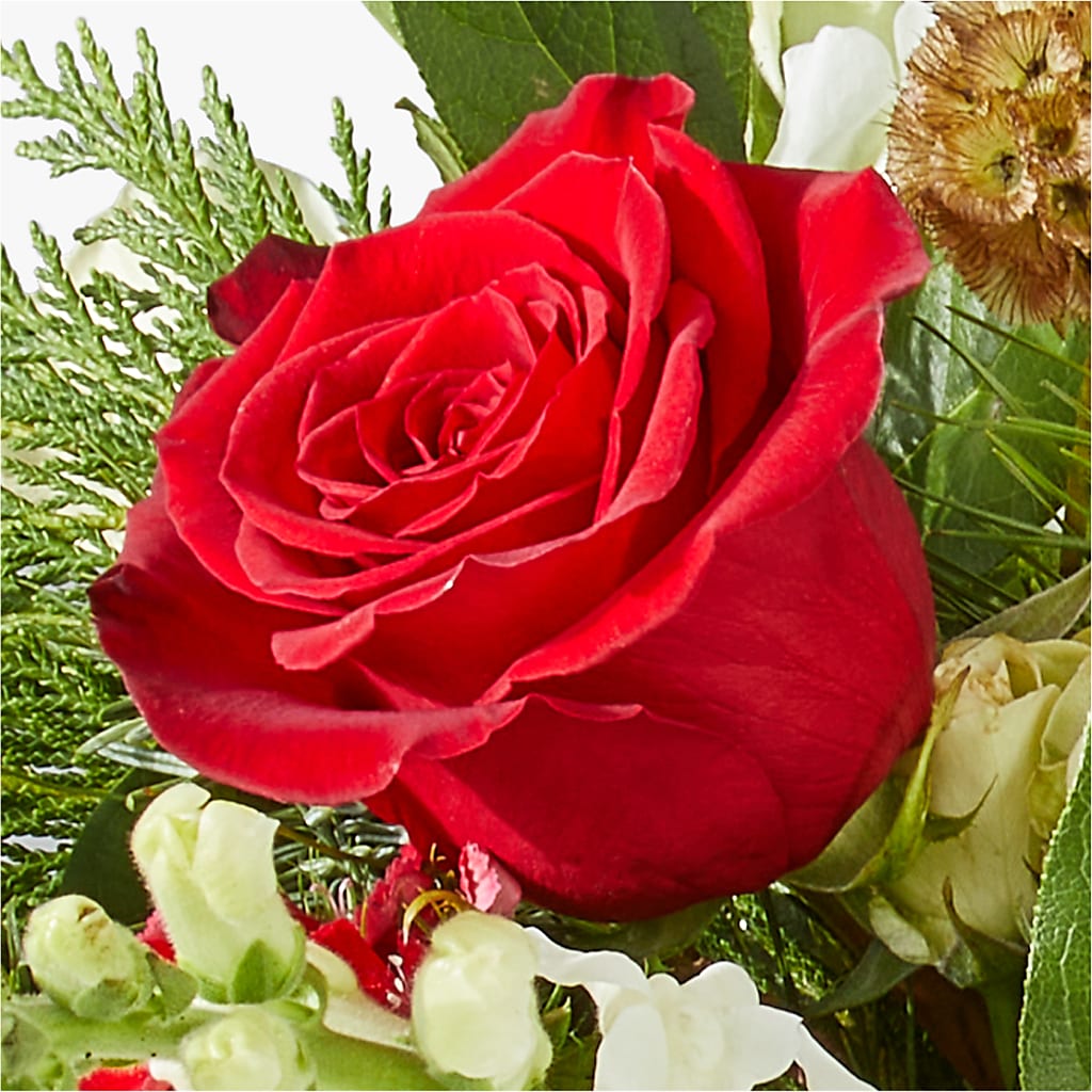 Deck the Halls Bouquet –  A Special Design Florist, Newport News VA