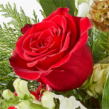Deck the Halls Bouquet –  A Special Design Florist, Newport News VA