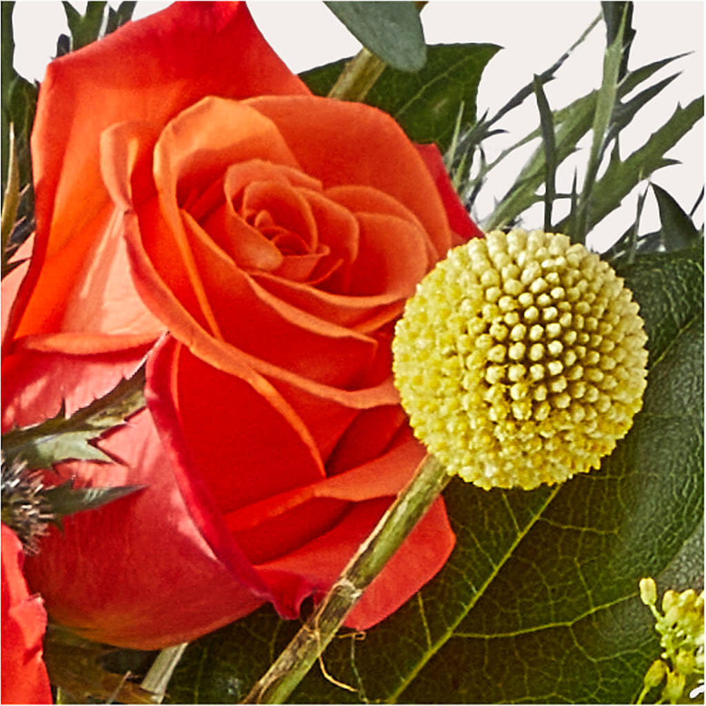 Disco Bouquet –  A Special Design Florist, Newport News VA
