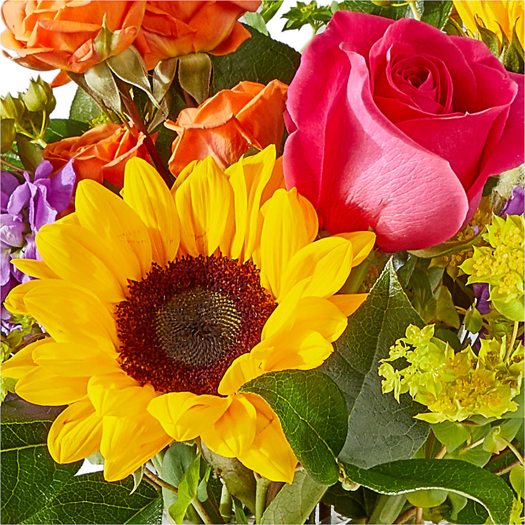 Vibrant Greetings Bouquet –  A Special Design Florist, Newport News VA