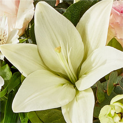 Ballet Slippers Bouquet –  A Special Design Florist, Newport News VA